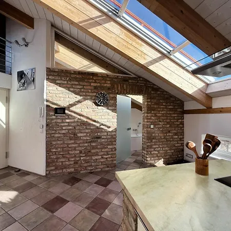 Apartments|luxury Loft-style Apartment